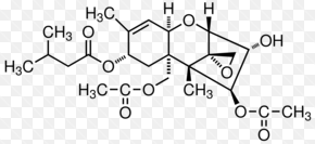 trichothecenes toxin